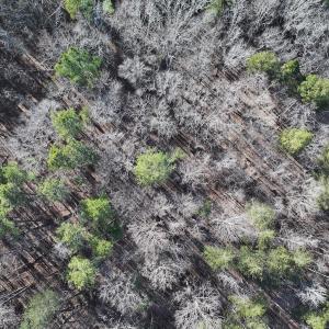 Photo #30 of SOLD property in 1296 Moriah Rd, Rougemont, NC 71.8 acres