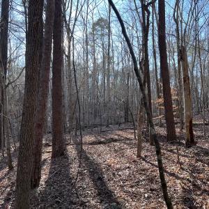 Photo #31 of 1296 Moriah Rd, Rougemont, NC 71.8 acres