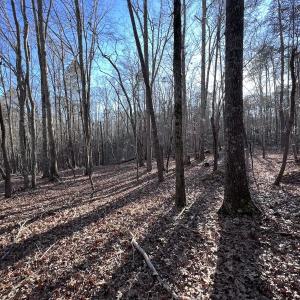Photo #32 of SOLD property in 1296 Moriah Rd, Rougemont, NC 71.8 acres
