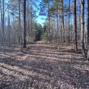 Photo #33 of SOLD property in 1296 Moriah Rd, Rougemont, NC 71.8 acres