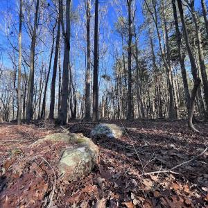 Photo #35 of SOLD property in 1296 Moriah Rd, Rougemont, NC 71.8 acres