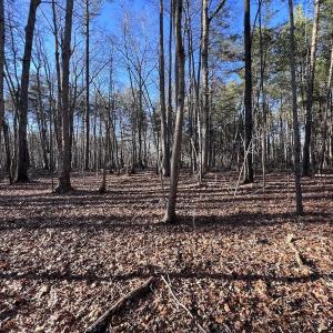Photo #36 of 1296 Moriah Rd, Rougemont, NC 71.8 acres