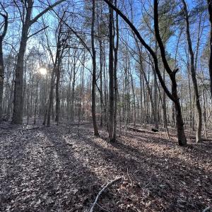 Photo #37 of SOLD property in 1296 Moriah Rd, Rougemont, NC 71.8 acres