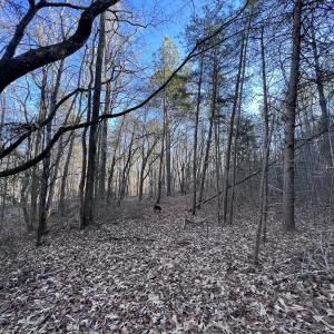 Photo #38 of SOLD property in 1296 Moriah Rd, Rougemont, NC 71.8 acres