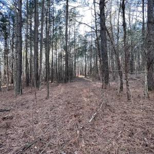 Photo #40 of SOLD property in 1296 Moriah Rd, Rougemont, NC 71.8 acres