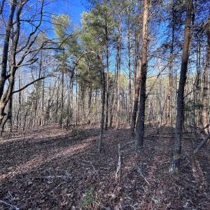 Photo #43 of 1296 Moriah Rd, Rougemont, NC 71.8 acres