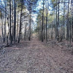 Photo #44 of SOLD property in 1296 Moriah Rd, Rougemont, NC 71.8 acres