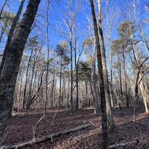 Photo #45 of SOLD property in 1296 Moriah Rd, Rougemont, NC 71.8 acres