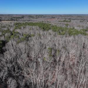 Photo #46 of SOLD property in 1296 Moriah Rd, Rougemont, NC 71.8 acres