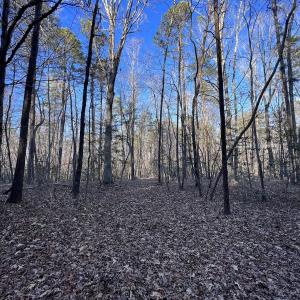 Photo #47 of SOLD property in 1296 Moriah Rd, Rougemont, NC 71.8 acres