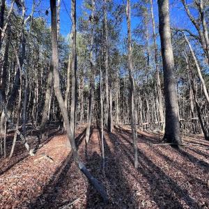 Photo #48 of SOLD property in 1296 Moriah Rd, Rougemont, NC 71.8 acres