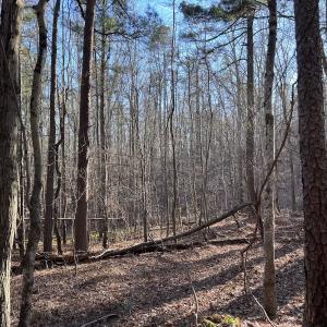 Photo #49 of SOLD property in 1296 Moriah Rd, Rougemont, NC 71.8 acres