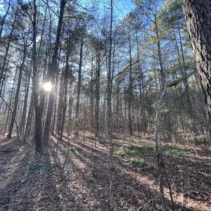 Photo #50 of 1296 Moriah Rd, Rougemont, NC 71.8 acres