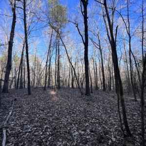 Photo #51 of SOLD property in 1296 Moriah Rd, Rougemont, NC 71.8 acres
