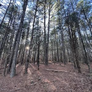 Photo #52 of SOLD property in 1296 Moriah Rd, Rougemont, NC 71.8 acres