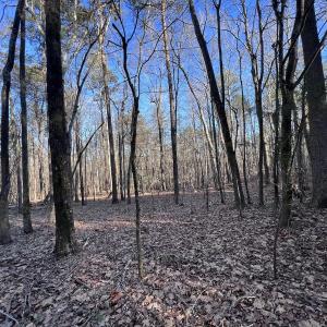 Photo #53 of 1296 Moriah Rd, Rougemont, NC 71.8 acres