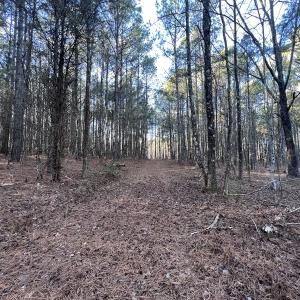 Photo #54 of SOLD property in 1296 Moriah Rd, Rougemont, NC 71.8 acres