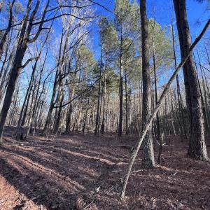 Photo #55 of SOLD property in 1296 Moriah Rd, Rougemont, NC 71.8 acres