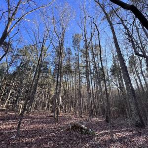 Photo #56 of 1296 Moriah Rd, Rougemont, NC 71.8 acres