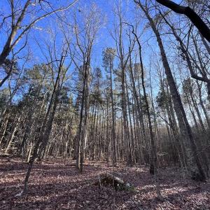 Photo #56 of SOLD property in 1296 Moriah Rd, Rougemont, NC 71.8 acres