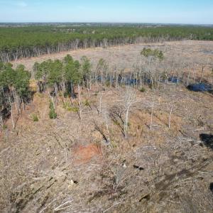 Photo #6 of SOLD property in Off Pole Run Rd, Disputanta, VA 22.0 acres
