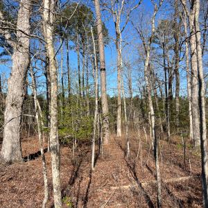 Photo #9 of SOLD property in Off Pole Run Rd, Disputanta, VA 22.0 acres