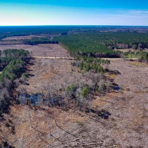 Photo #12 of SOLD property in Off Pole Run Rd, Disputanta, VA 22.0 acres
