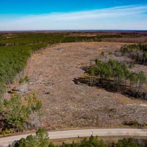 Photo #2 of SOLD property in Off Pole Run Rd, Disputanta, VA 89.1 acres