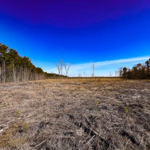 Photo #3 of SOLD property in Off Pole Run Rd, Disputanta, VA 89.1 acres
