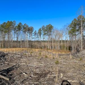 Photo #8 of SOLD property in Off Pole Run Rd, Disputanta, VA 89.1 acres