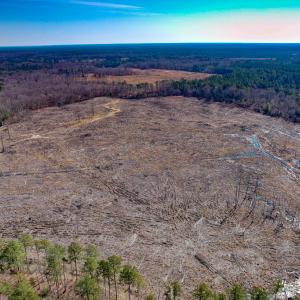 Photo #9 of SOLD property in Off Pole Run Rd, Disputanta, VA 89.1 acres