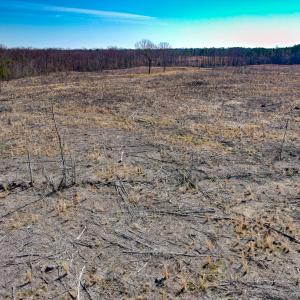 Photo #11 of SOLD property in Off Pole Run Rd, Disputanta, VA 89.1 acres