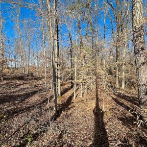 Photo #14 of SOLD property in Off Pole Run Rd, Disputanta, VA 89.1 acres