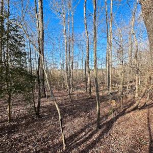 Photo #19 of SOLD property in Off Pole Run Rd, Disputanta, VA 89.1 acres
