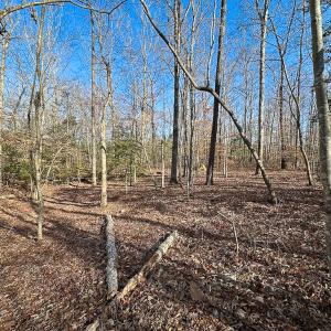 Photo #20 of SOLD property in Off Pole Run Rd, Disputanta, VA 89.1 acres
