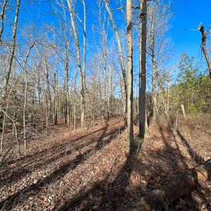 Photo #25 of SOLD property in Off Pole Run Rd, Disputanta, VA 89.1 acres