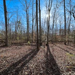 Photo #27 of SOLD property in Off Pole Run Rd, Disputanta, VA 89.1 acres
