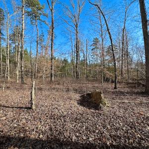 Photo #28 of SOLD property in Off Pole Run Rd, Disputanta, VA 89.1 acres