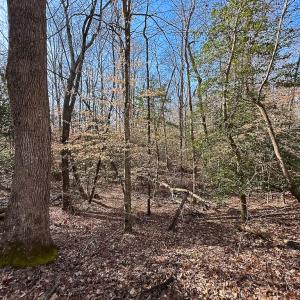 Photo #30 of SOLD property in Off Pole Run Rd, Disputanta, VA 89.1 acres