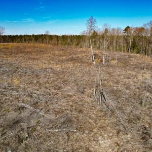 Photo #32 of SOLD property in Off Pole Run Rd, Disputanta, VA 89.1 acres