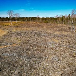 Photo #33 of SOLD property in Off Pole Run Rd, Disputanta, VA 89.1 acres