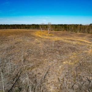 Photo #34 of SOLD property in Off Pole Run Rd, Disputanta, VA 89.1 acres