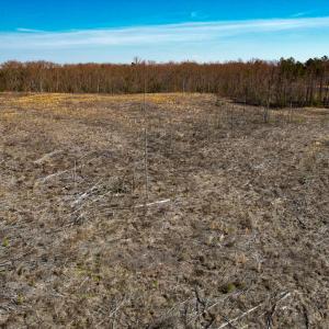 Photo #35 of SOLD property in Off Pole Run Rd, Disputanta, VA 89.1 acres