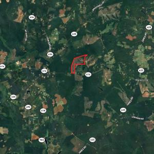 Photo #36 of SOLD property in Off Pole Run Rd, Disputanta, VA 89.1 acres