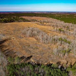 Photo #11 of SOLD property in Off Pole Run Rd, Disputanta, VA 114.0 acres