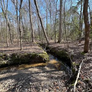 Photo #16 of SOLD property in Off Pole Run Rd, Disputanta, VA 114.0 acres