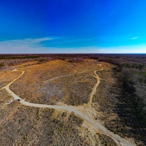 Photo #29 of SOLD property in Off Pole Run Rd, Disputanta, VA 114.0 acres