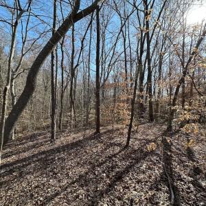 Photo #30 of SOLD property in Off Pole Run Rd, Disputanta, VA 114.0 acres