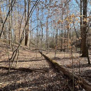 Photo #41 of SOLD property in Off Pole Run Rd, Disputanta, VA 114.0 acres