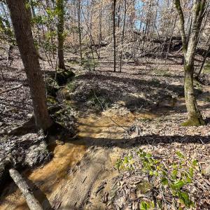 Photo #48 of SOLD property in Off Pole Run Rd, Disputanta, VA 114.0 acres